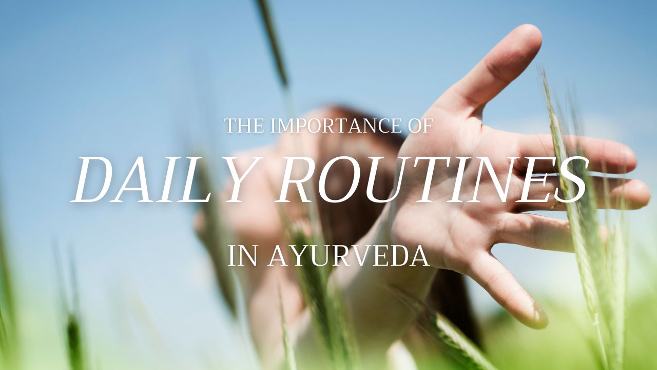 Importance of Daily Routines in Ayurveda